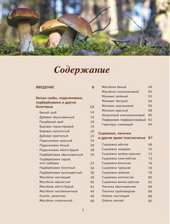 Грибы. Иллюстрированный гид по популярным видам 14