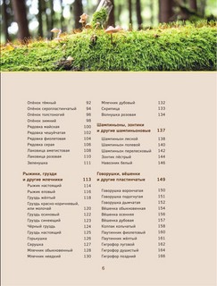 Грибы. Иллюстрированный гид по популярным видам 15