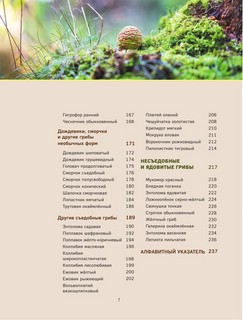 Грибы. Иллюстрированный гид по популярным видам 16
