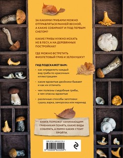 Грибы. Иллюстрированный гид по популярным видам 2