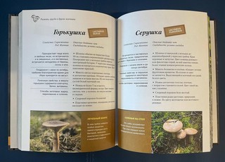 Грибы. Иллюстрированный гид по популярным видам 3