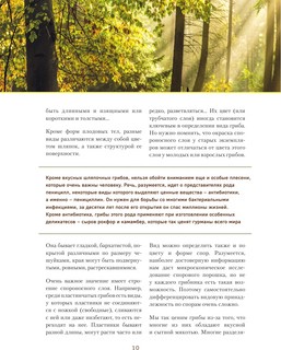 Грибы. Иллюстрированный гид по популярным видам 7