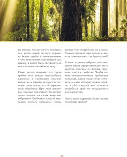 Грибы. Иллюстрированный гид по популярным видам 8