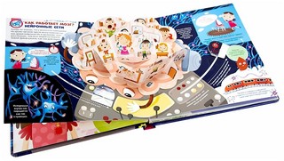 Мозг. Компьютер в моей голове. Интерактивная энциклопедия 4