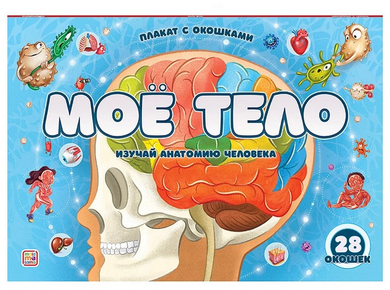 Мое тело. Плакат с окошками