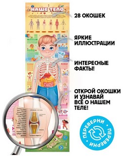 Мое тело. Плакат с окошками 2