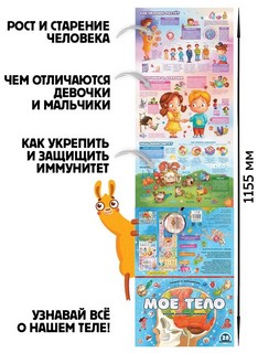 Мое тело. Плакат с окошками 3