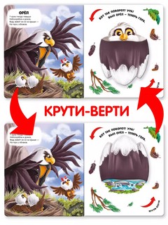 Превращения в природе 8