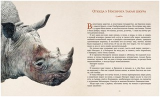 Слонёнок и другие сказки 7