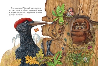 Любимые сказки и рассказы. Книжка в кармашке 4