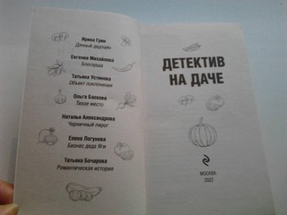 Детектив на даче 10