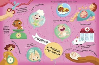 Откуда берутся дети? Волшебные окошки 3