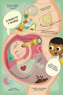 Откуда берутся дети? Волшебные окошки 4