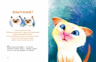 Бонифаций ищет дом 4