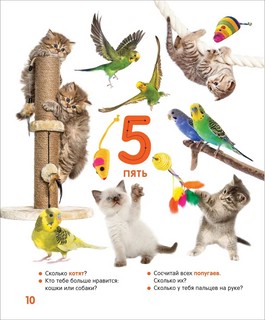 Цифры и счёт. Твоя первая фотокнига 2