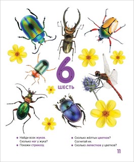 Цифры и счёт. Твоя первая фотокнига 3