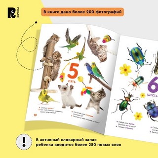 Цифры и счёт. Твоя первая фотокнига 8