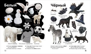 Цвета и формы. Твоя первая фотокнига 4