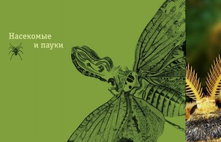 Редкие и удивительные животные нашей планеты. Энциклопедия для детей 3