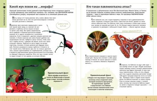 Редкие и удивительные животные нашей планеты. Энциклопедия для детей 5
