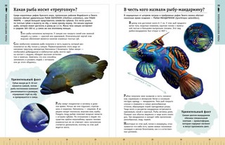 Редкие и удивительные животные нашей планеты. Энциклопедия для детей 6