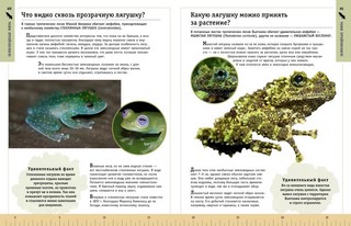 Редкие и удивительные животные нашей планеты. Энциклопедия для детей 7