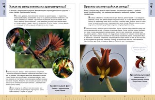 Редкие и удивительные животные нашей планеты. Энциклопедия для детей 8