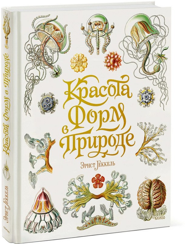 Красота форм в природе