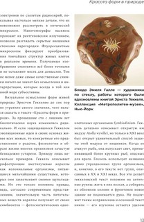 Красота форм в природе 7