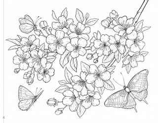 Времена года. Мой самый большой альбом раскрасок 6