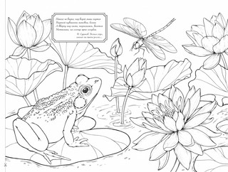 Моя любимая природа. Мой самый большой альбом раскрасок 4