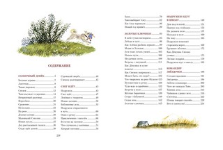 Солнечный денек 2