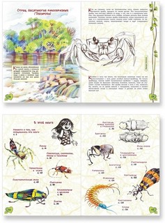 В джунглях не только тигры. Жучки-паучки 4