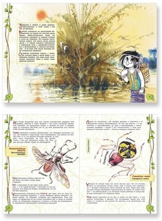 В джунглях не только тигры. Жучки-паучки 3