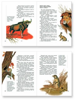 Почему так много 'почему'. Сказки о природе 4