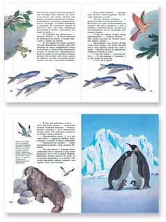 Почему так много 'почему'. Сказки о природе 5