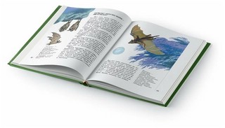 Почему так много 'почему'. Сказки о природе 2