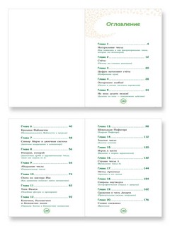 Великолепная десятка. Приключения в мире математики 4
