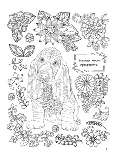 Антистресс-раскраска 'Животные' 100 картин 9