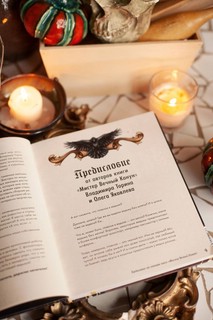 Мистер Вечный Канун. Поваренная книга для Хэллоуина 7