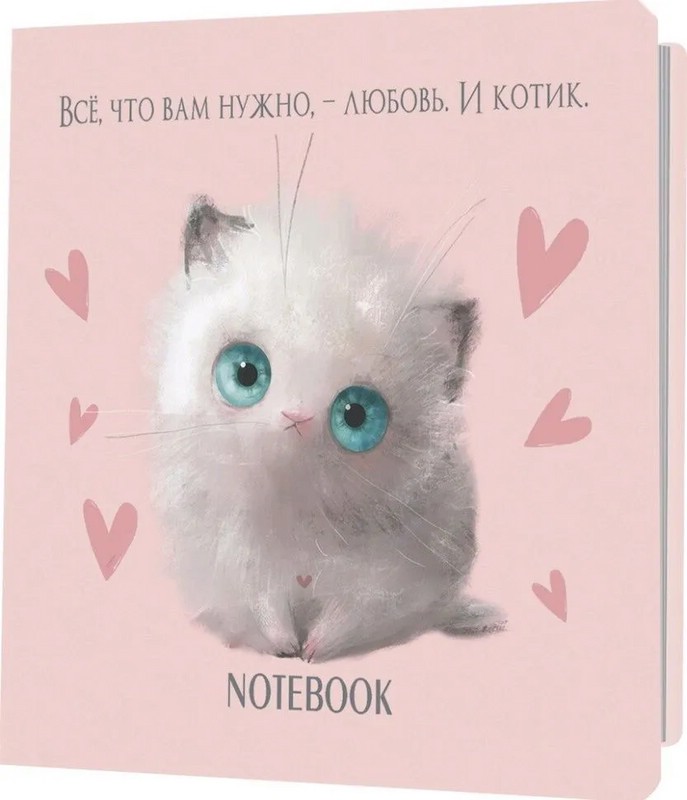 Блокнот с котятами Е.Баренбаум. Блокнот Его Котейшества (розовый)