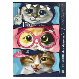 Дневничок для девочек 'Сквозь розовые очки' 1