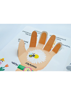 Мое тело. Мои первые 100 слов с окошками 5