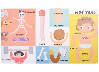 Мое тело. Мои первые 100 слов с окошками 2