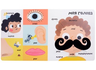 Мое тело. Мои первые 100 слов с окошками 3