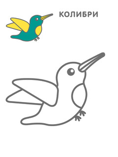 Самые первые раскраски. Животные 5