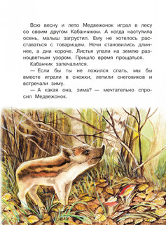 Новогодние сказки с волшебными картинками 5