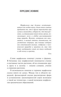 Морфология волшебной сказки 6