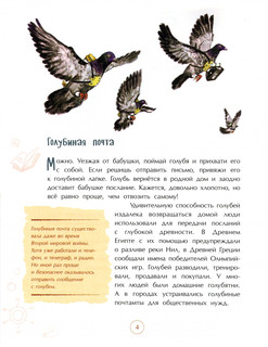 На связи. От сигнального костра до Интернета 5