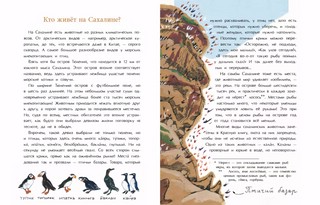 Сахалин. Самый большой остров в России 2